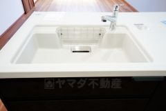 広々とした凸型シンクに洗剤ポケットを標準装備。大きなお鍋など洗いやすいです。