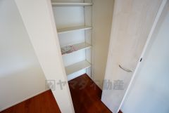 同仕様写真。まとめ買いしてもこの収納量なら心配要らずのパントリー。調理家電や食品のストックをすっきりまとめられ、キッチン周りを広々使えます。