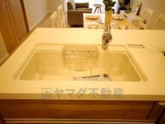 広々とした凸型シンクに洗剤ポケットを標準装備。大きなお鍋など洗いやすいです。