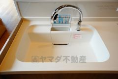 同仕様写真。広々とした凸型シンクに洗剤ポケットを標準装備。大きなお鍋など洗いやすいです。