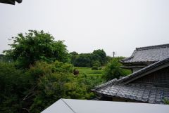 バルコニーからは緑豊かな景色を楽しむことが出来ます。
