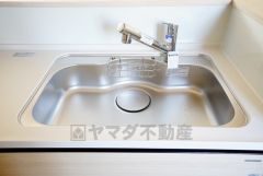 広々とした凸型シンクに洗剤ポケットを標準装備。大きなお鍋など洗いやすいです。