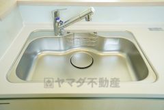 広々とした凸型シンクに洗剤ポケットを標準装備。大きなお鍋など洗いやすいです。