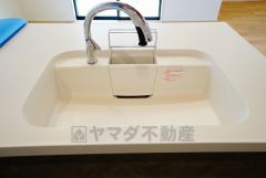 広々とした凸型シンクに洗剤ポケットを標準装備。大きなお鍋など洗いやすいです。