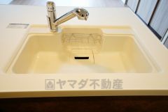 広々とした凸型シンクに洗剤ポケットを標準装備。大きなお鍋など洗いやすいです。