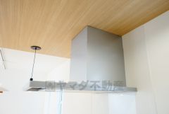 広々とした凸型シンクに洗剤ポケットを標準装備。大きなお鍋など洗いやすいです。