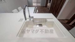 広々とした凸型シンクに洗剤ポケットを標準装備。大きなお鍋など洗いやすいです。