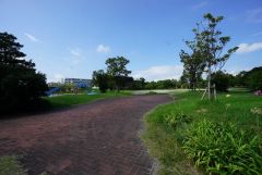 城浜公園