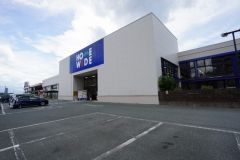 ホームワイド　ペット&グリーン和白店