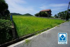 現地（2025年7月7日）撮影。一戸建ての多いエリア。落ち着いた雰囲気で快適な生活を送れます。
