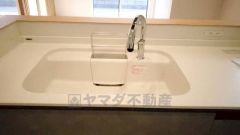 広々とした凸型シンクに洗剤ポケットを標準装備。大きなお鍋など洗いやすいです。