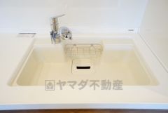 広々とした凸型シンクに洗剤ポケットを標準装備。大きなお鍋など洗いやすいです。