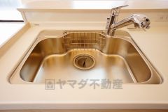 広々とした凸型シンクに洗剤ポケットを標準装備。大きなお鍋など洗いやすいです。