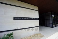 エントランスに続くお洒落なアプローチ入口です。エントランスの外まで管理が行き届いた綺麗なマンションです。