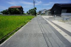 現地（2025年7月7日）撮影。大型車の通行が少なく、騒音や振動が少ないので静かで快適な生活を送れます。
