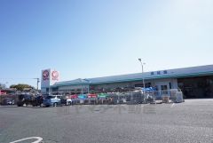コメリ　ハード&グリーン津屋崎店