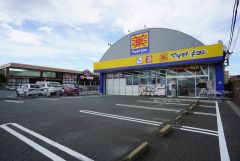 マツモトキヨシ　和白店