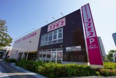 ディスカウントドラッグコスモス　千早店