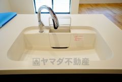 広々とした凸型シンクに洗剤ポケットを標準装備。大きなお鍋など洗いやすいです。