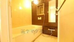 バスルームの洗い場の床材は水はけの良い素材を採用。カビが生えにくい設計になっております。浴室乾燥機付きで換気・雨の日の洗濯もばっちり＾＾