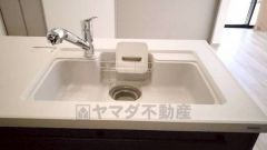 広々とした凸型シンクに洗剤ポケットを標準装備。大きなお鍋など洗いやすいです。