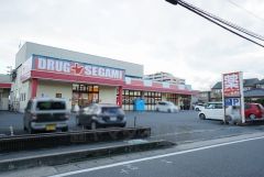 ドラッグセガミ　荒江店