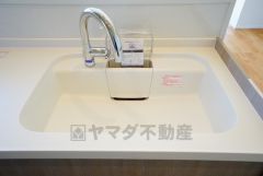 広々とした凸型シンクに洗剤ポケットを標準装備。大きなお鍋など洗いやすいです。